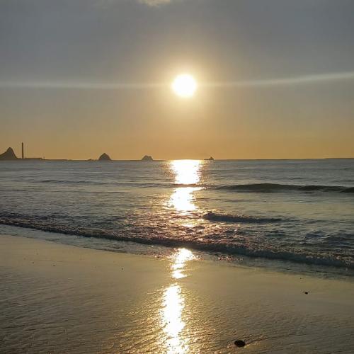 3hrs Gardening Services